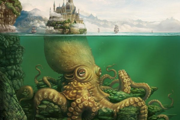 Kraken рабочий