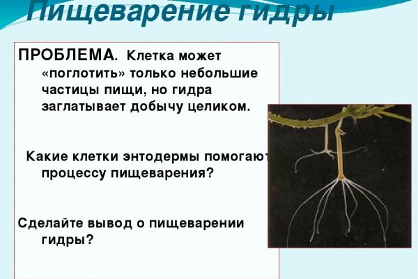 Как восстановить доступ к аккаунту кракен