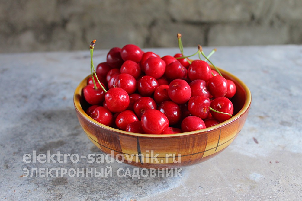 Ссылка на кракен официальный