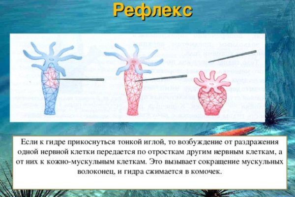 Ссылка на сайт кракен в тор браузере