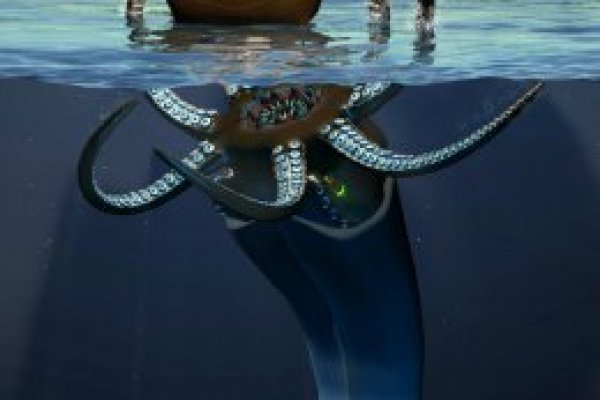 Kraken 5 at