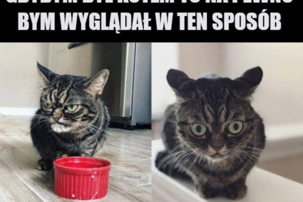 Не могу зайти в кракен